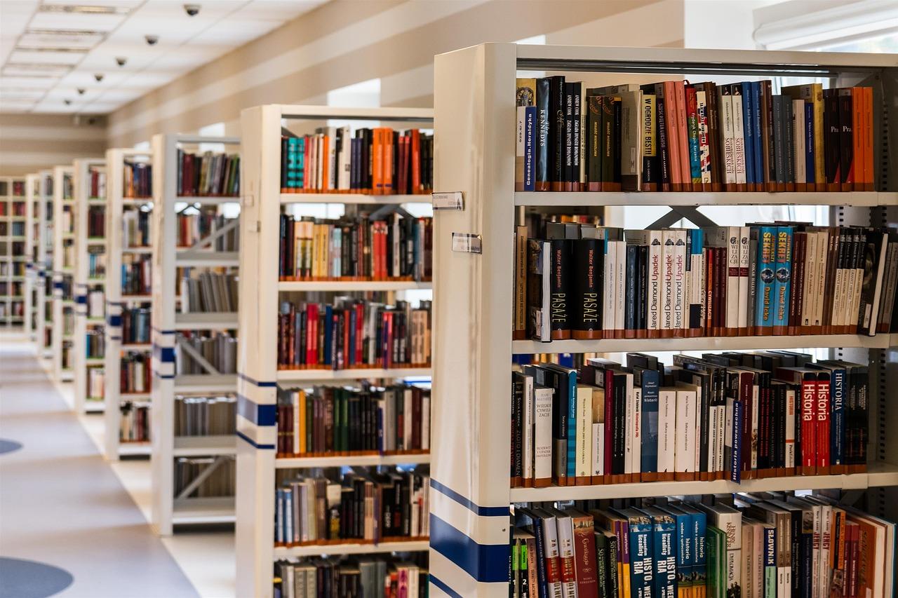 Lei cria Sistema Nacional de Bibliotecas Escolares